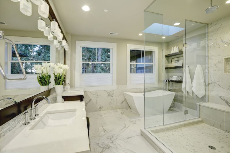 Contemporary Glass Shower